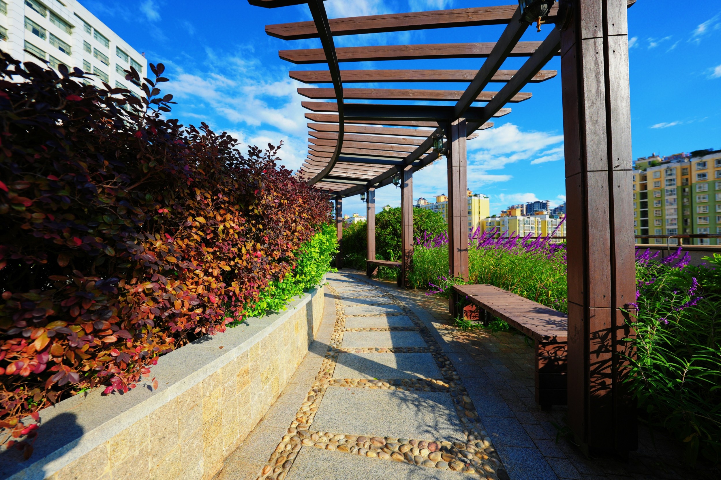 17604904201365.jpg 17604904201365.jpg