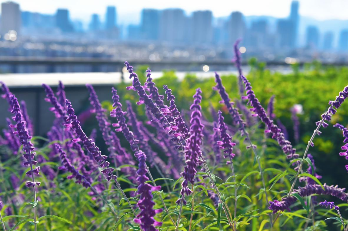 17604904558215.png 17604904558215.png