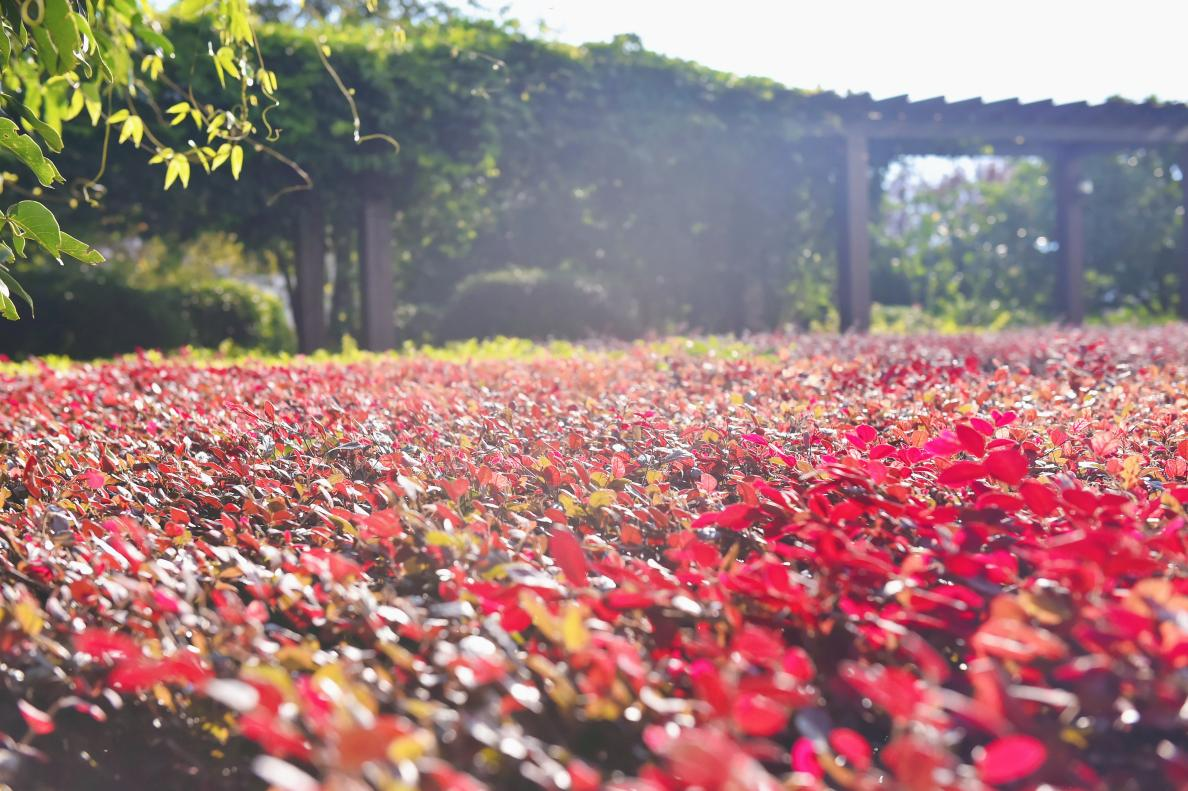 17604904819965.png 17604904819965.png