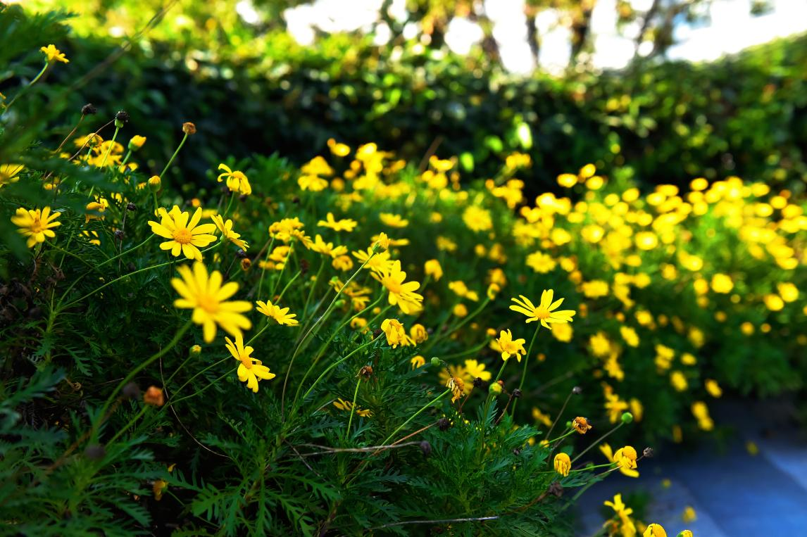 17604905314093.png 17604905314093.png