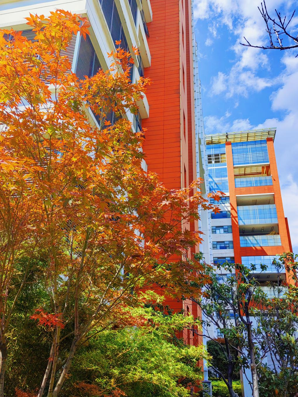 17604906133532.png 17604906133532.png