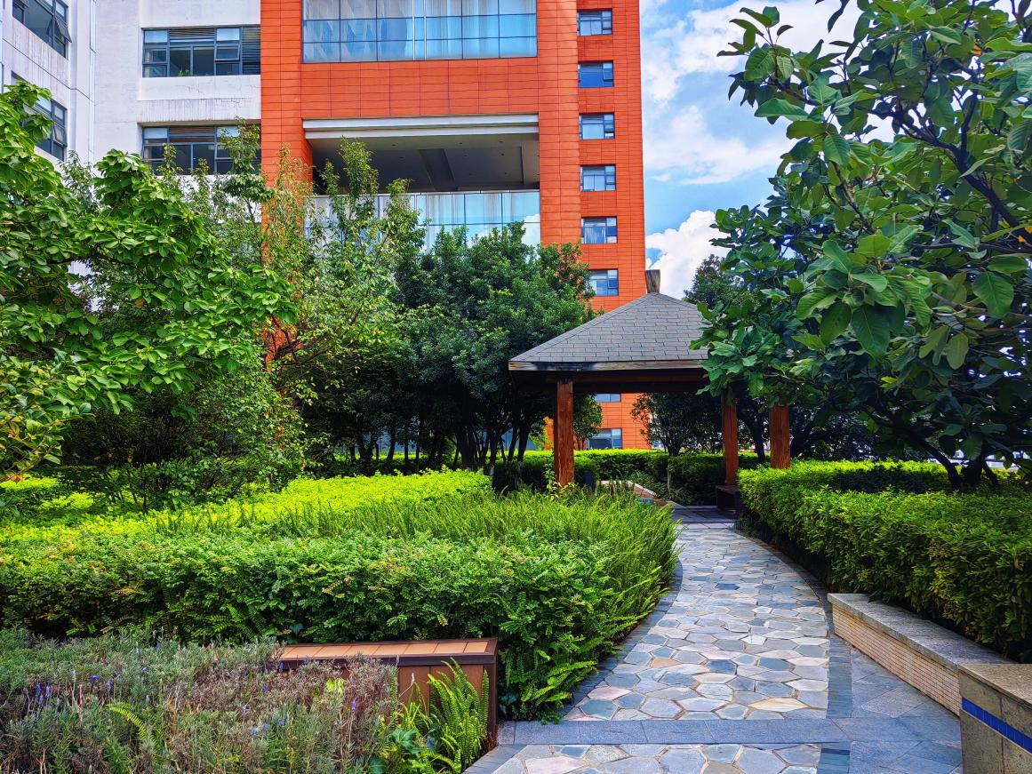 17604906806925.png 17604906806925.png