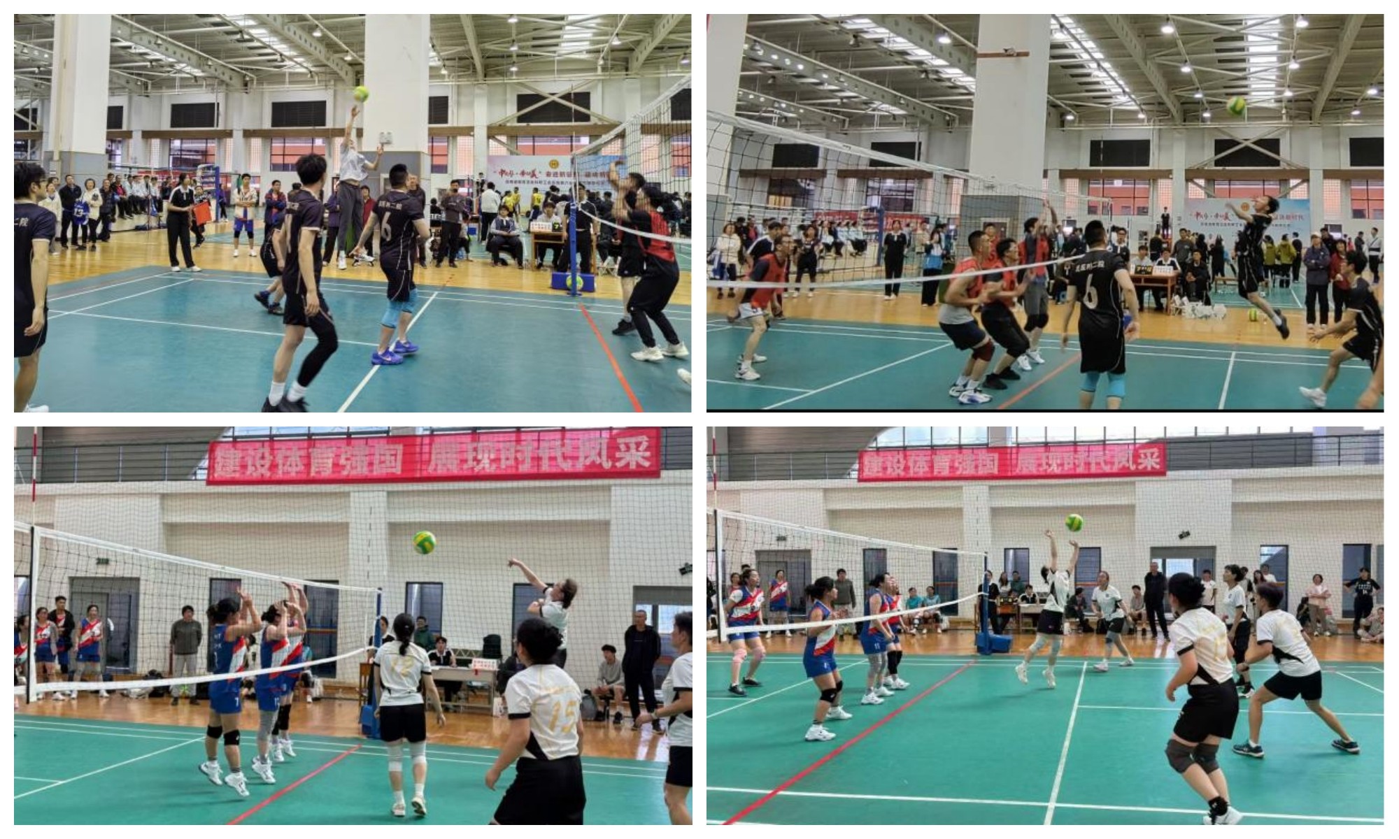 17616172998730.jpg 17616172998730.jpg