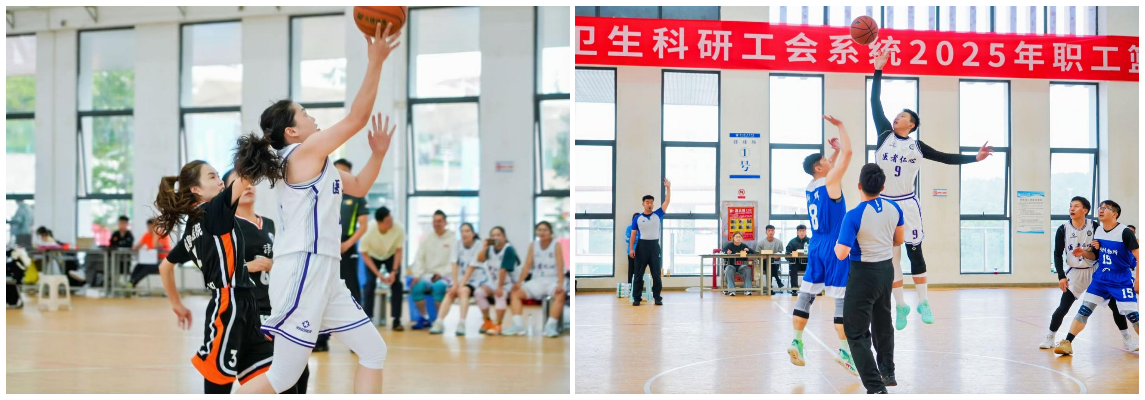 17622192363711.png 17622192363711.png