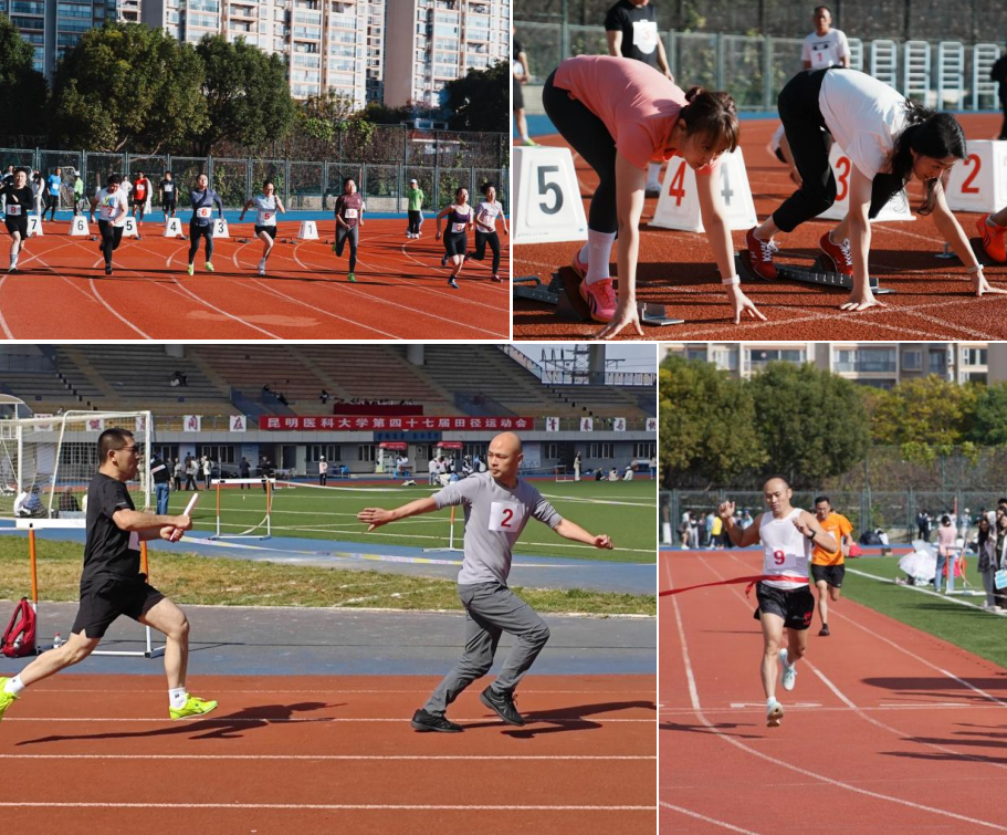 17634301458508.png 17634301458508.png